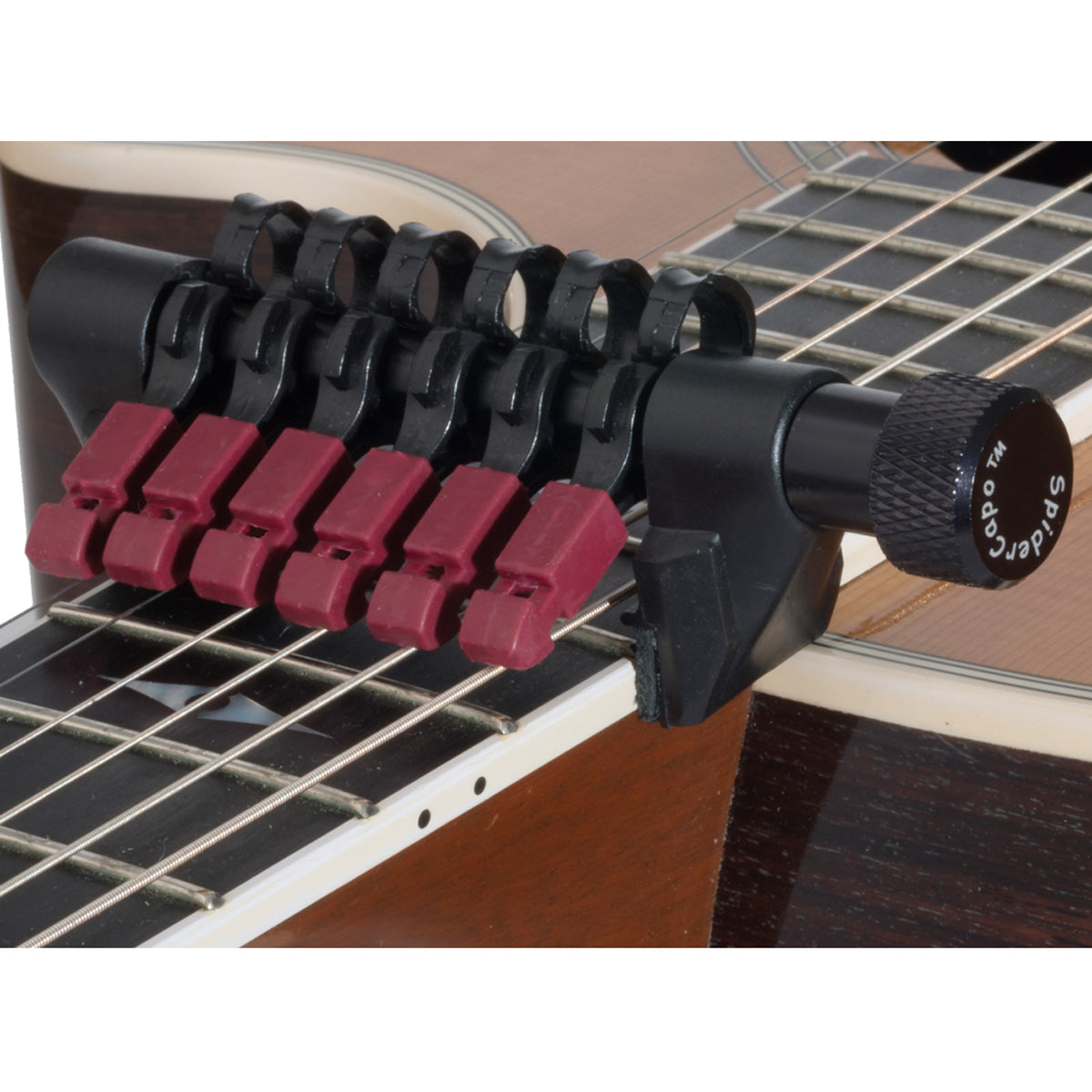 D'Andrea Spider Capo ~ Harmonic Mutes