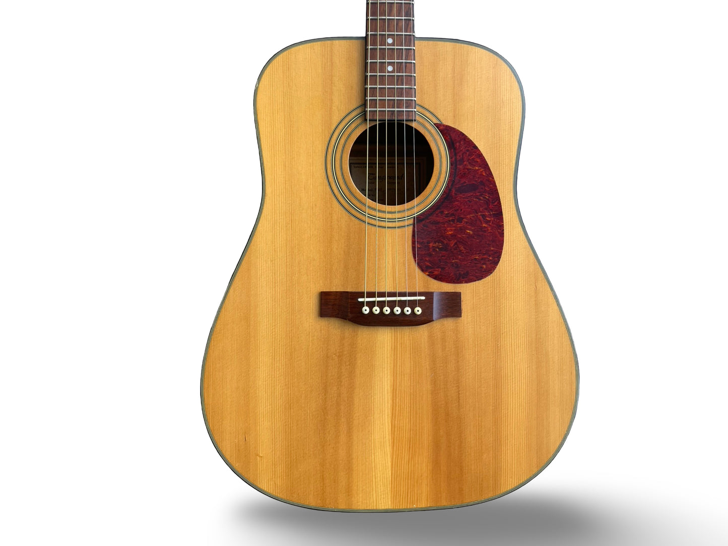Tanglewood Earth100 NS Acoustic Guitar – Handcrafted Heritage