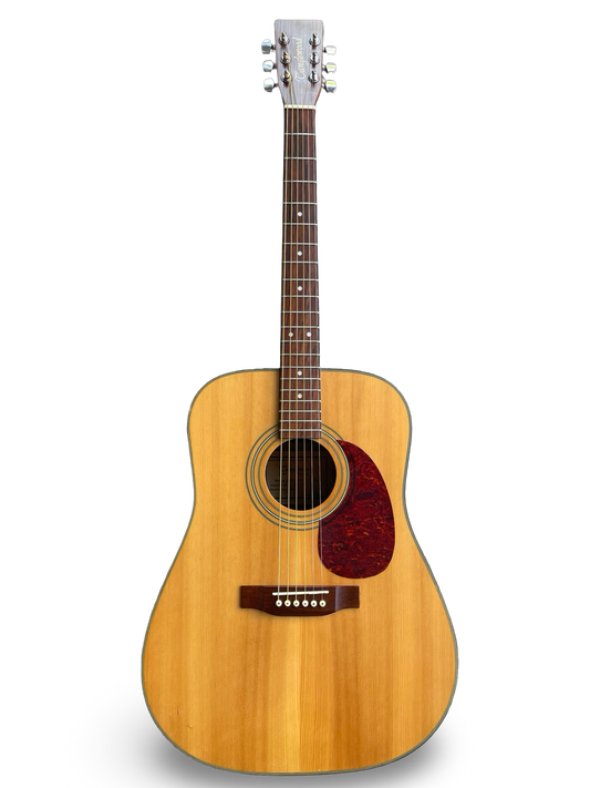 Tanglewood Earth100 NS Acoustic Guitar – Handcrafted Heritage